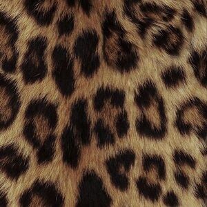 Meet your Posher, Savanna